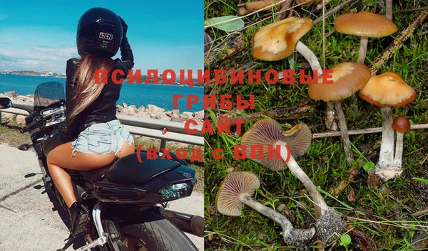 прущая мука Баксан