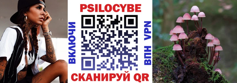 Псилоцибиновые грибы Cubensis MEGA ССЫЛКА Карабулак